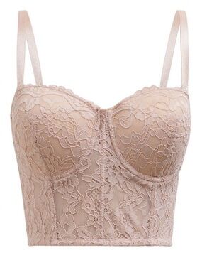Chicwish Lace Longline Bustier Top - Nude
